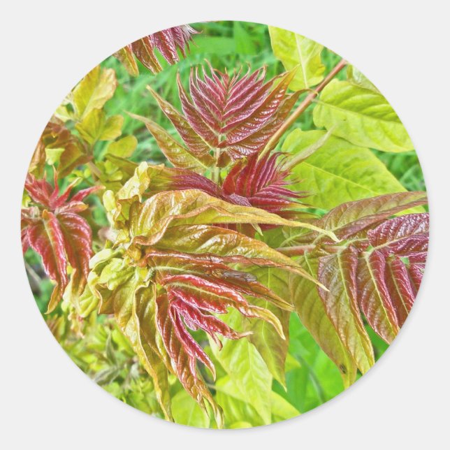 Spring Sumac Leaves Sticker (Front)