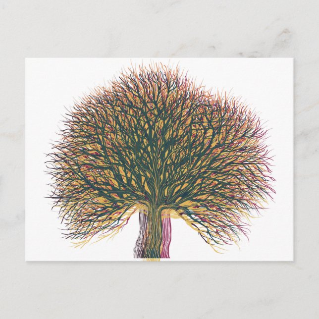 Spring Summer Autumn Winter Tree Postcard (Front)