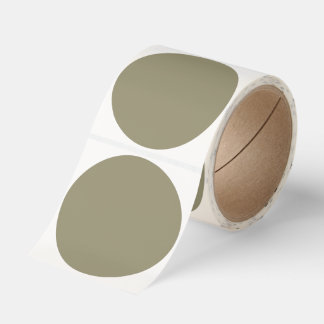 Spring Summer Color Leek Green Classic Round Sticker