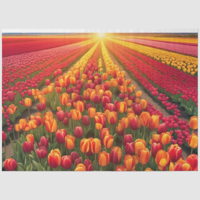 Spring Summer Field of Tulips Decoupage Paper (Front)