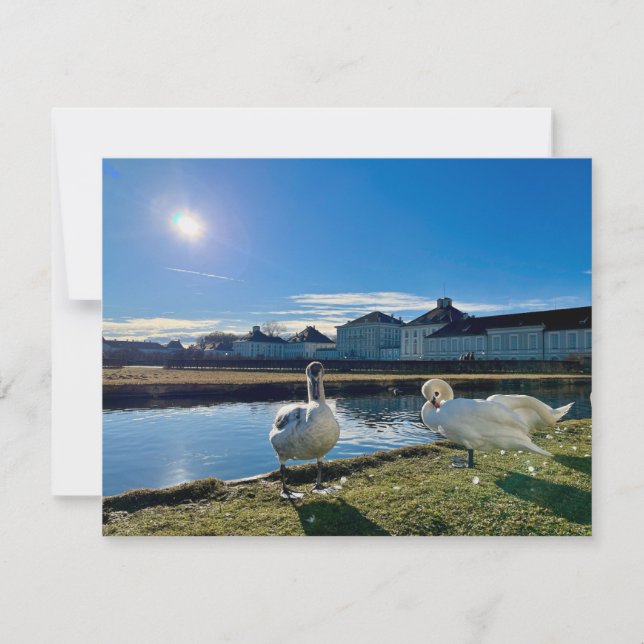 Spring Sun  Card (Front)