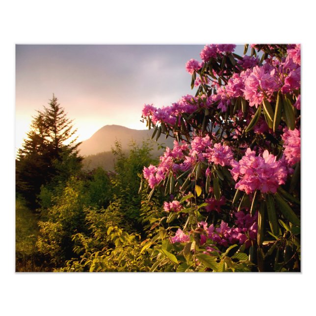Spring Sunset Mount Mitchell in North Carolina. Photo Print (Front)
