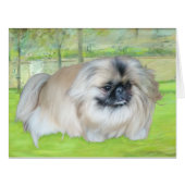 Spring Sunshine (Front Horizontal)