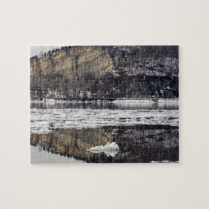 Spring Thaw Jigsaw Puzzle