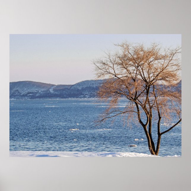 Spring Thaw, Steamboat Dock Poster (Front)