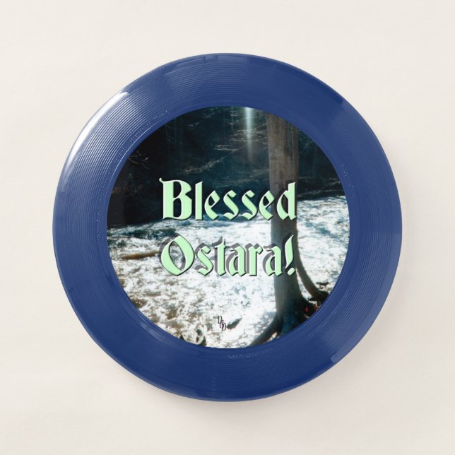 Spring Thaw Wham-O Frisbee (Front)