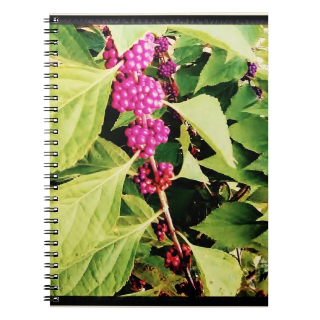 Spring theme notebook (Front)