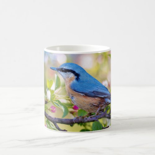 Spring Time _ Blue Bird  Blue Jay Coffee Mug
