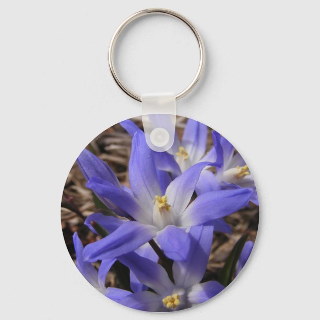 Spring time blue ~ keychain (Front)