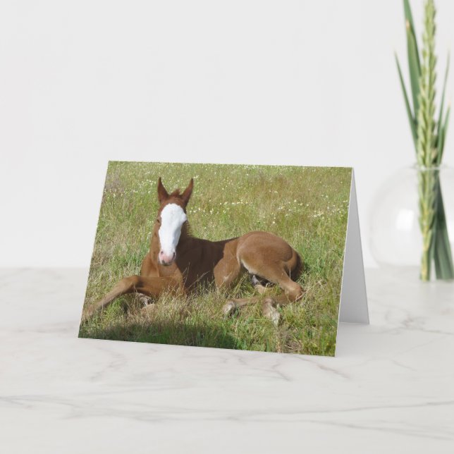 spring time card (Front)