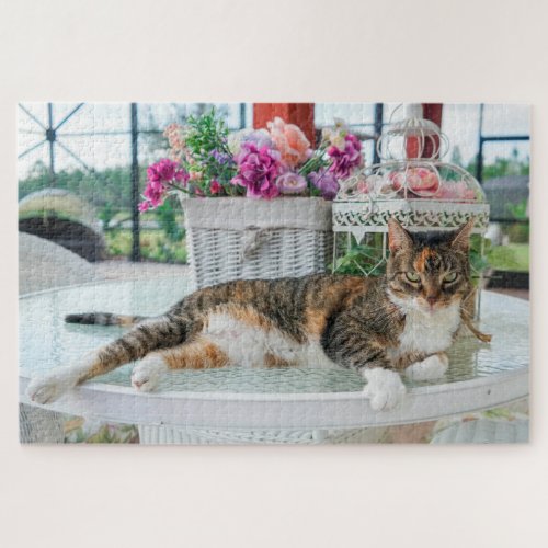 spring time cat puzzle