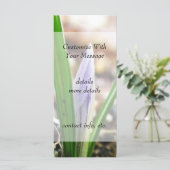 Spring Time!  Crocus Bud (Standing Front)