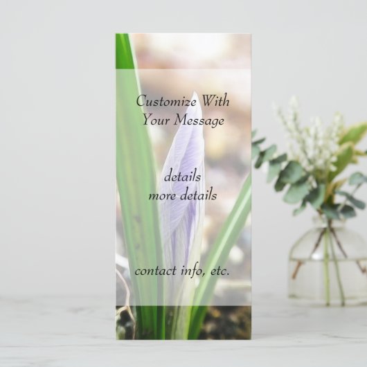 Spring Time! Crocus Bud (Standing Front)