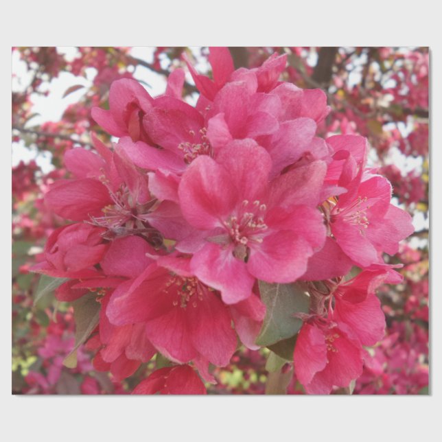 Spring Time Flower Wrapping Paper (Flat)