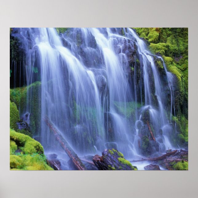 Spring-time fresh water flowing over moss poster (Front)