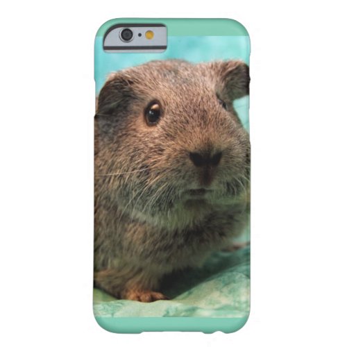 Spring Time Guinea Pig Phone Case