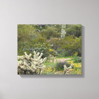 Spring Time in the Desert Photograph Canvas Print