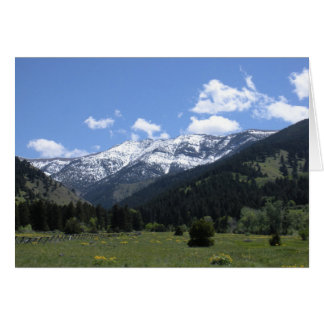 Spring Time In The Valley