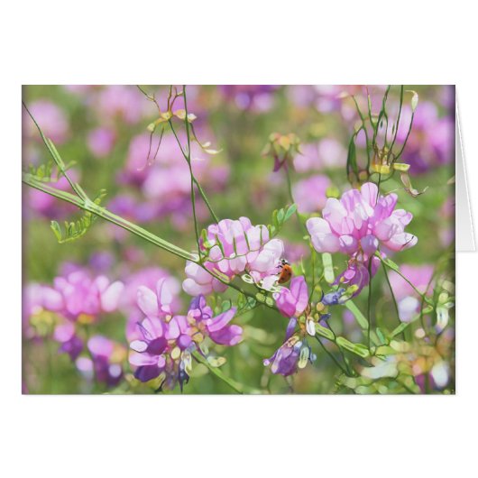 Spring Time LadyBug - Blank Cards (Front Horizontal)