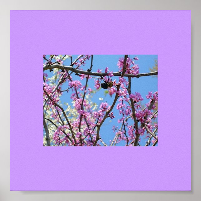 Spring Time Poster (Front)