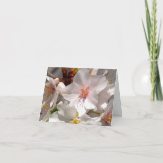 Spring Time Thank You Card