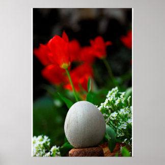Spring Time Zen Poster