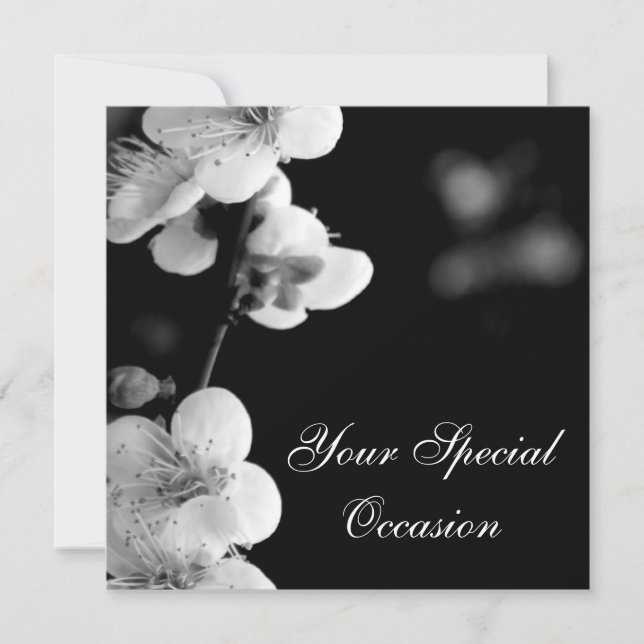 Spring to Life/B&W Flora All-Occasion Invites(TBA) Invitation (Front)
