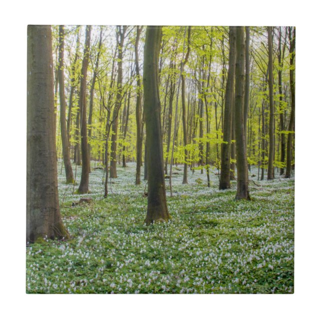 Spring to Life Ceramic Tile (Front)