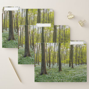 Spring to Life File Folder