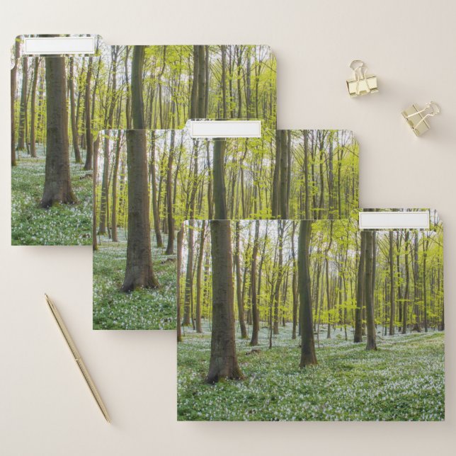Spring to Life File Folder (Set)