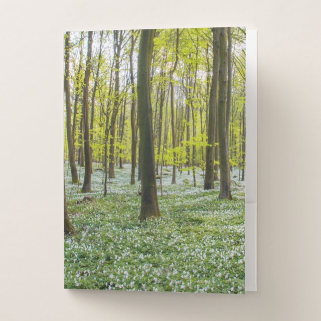 Spring to Life Pocket Folder (Front)