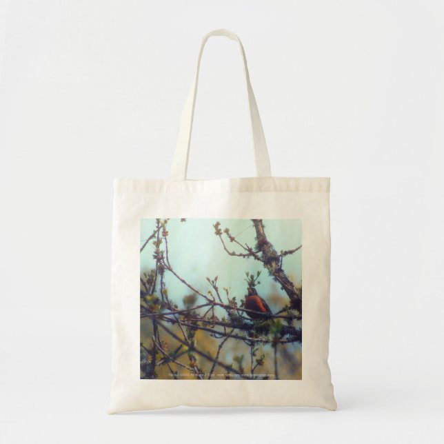 Spring Tote Bag (Front)