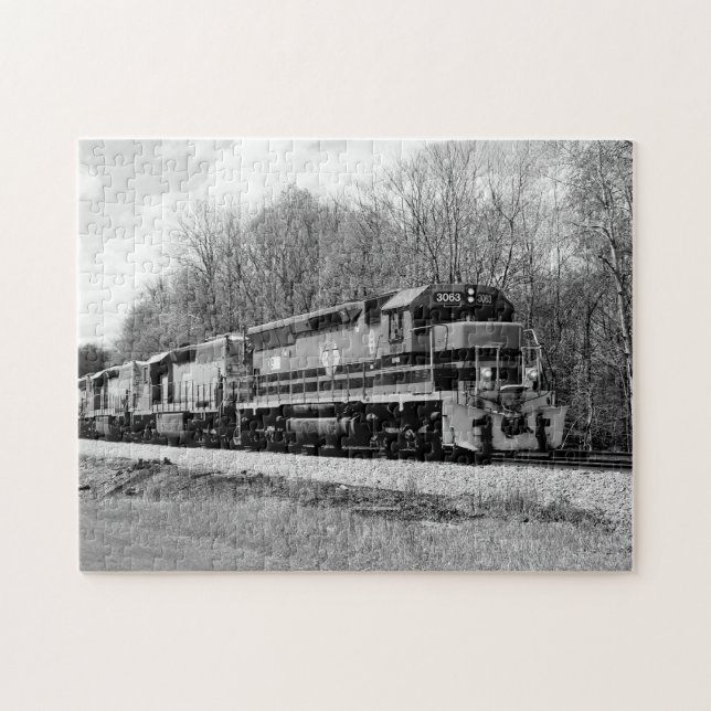 Spring Train in B&W Scenic Family Fun Puzzle (Horizontal)