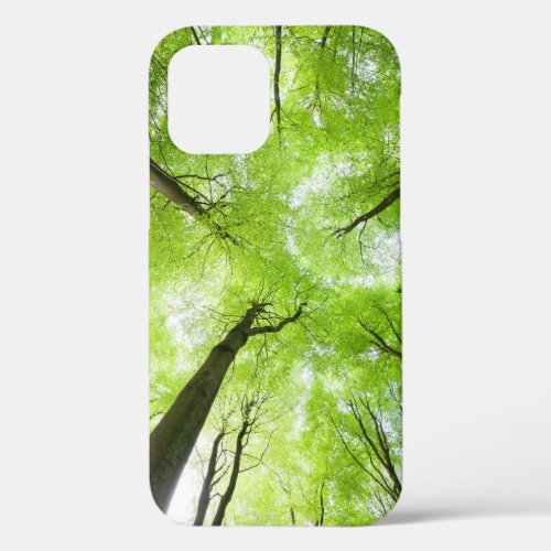 Spring tree canopy leaves from below iPhone 12 pro case