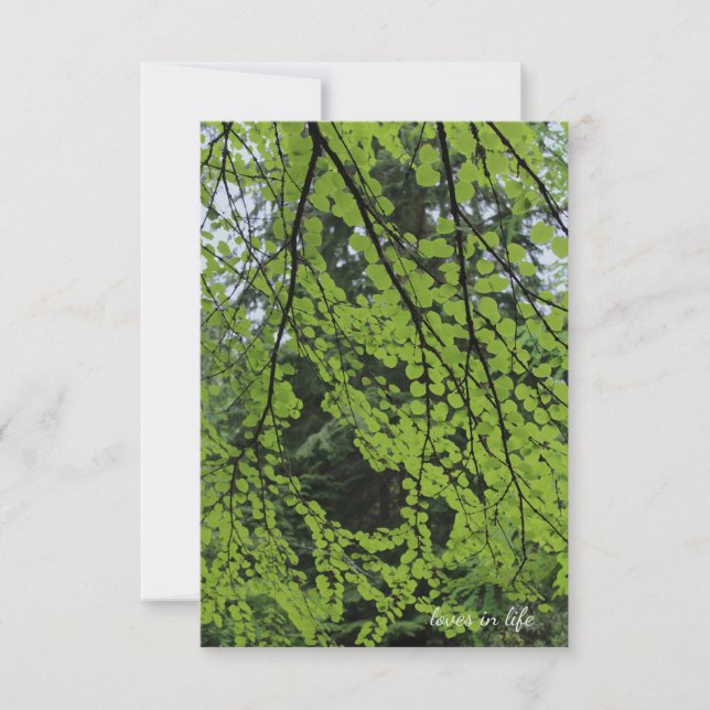 Spring Tree Foliage Note Card (Front)