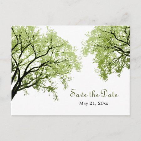 Spring Trees 2 - Save The Date Postcard