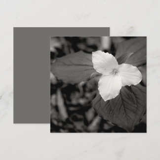 Spring Trillium Black and White  Note Card