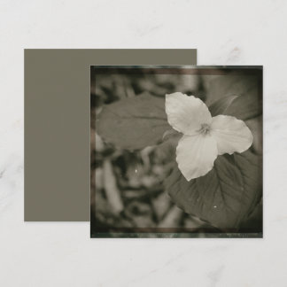 Spring Trillium Collodion Filter Note Card