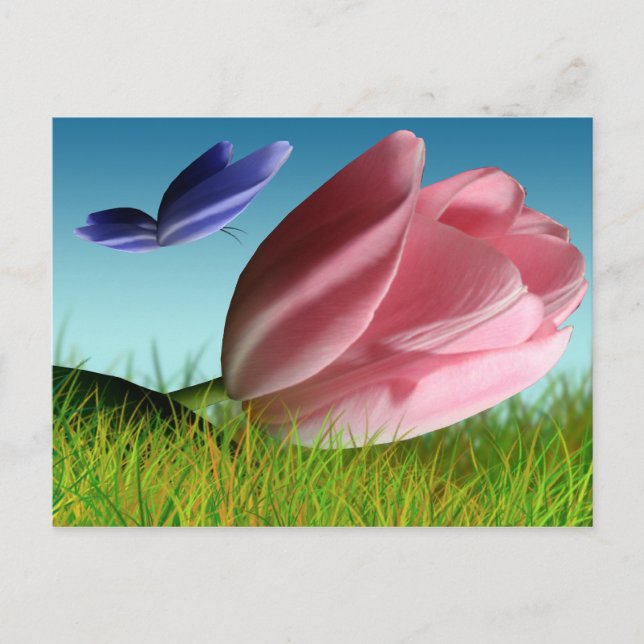 Spring Tulip And Butterfly Postcard (Front)