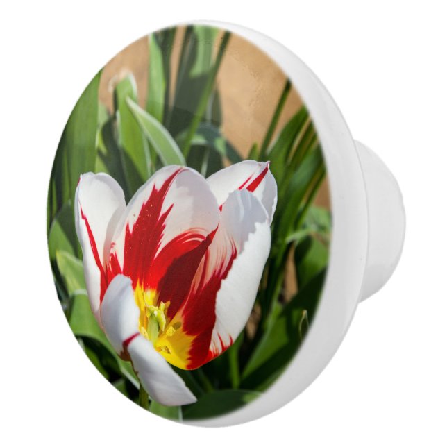 Spring Tulip Ceramic Pull (Right)