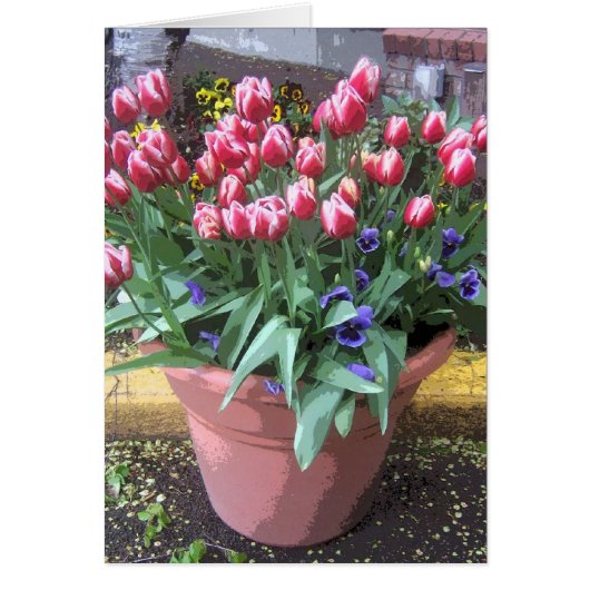 Spring Tulip Clay Pot Cards (Front)
