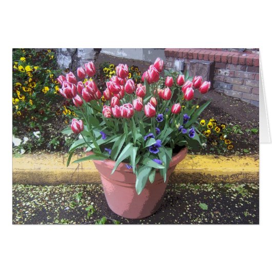 Spring Tulip Clay Pot Cards (Front Horizontal)