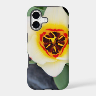 Spring Tulip Close-Up Photo iPhone 17 Case