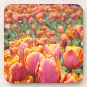 Spring Tulip Cork Coasters Pink Tulips Flowers