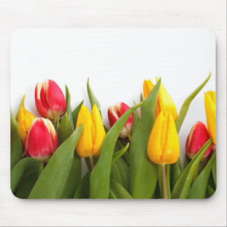 Spring Tulip Garden Mouse Pad