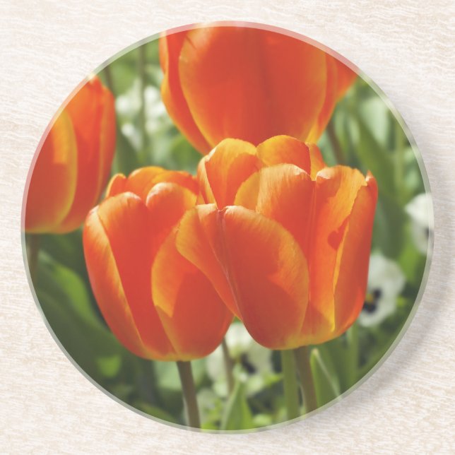 Spring Tulip Garden Sandstone Coaster (Front)