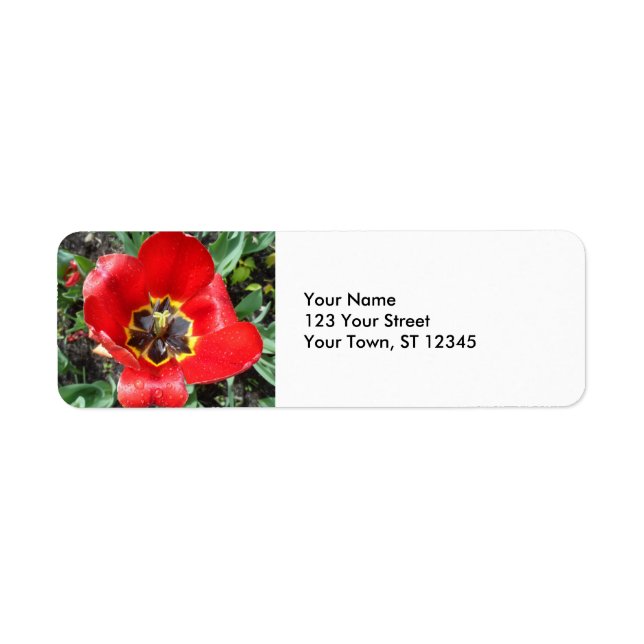 Spring Tulip Label (Front)