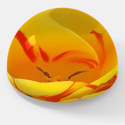 Spring Tulip Paperweight