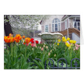 Spring Tulips (Front Horizontal)