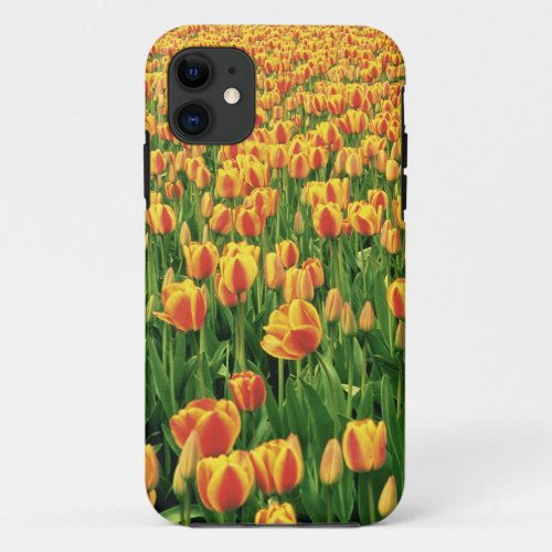 Spring tulips bloom in front of old barn iPhone 11 case